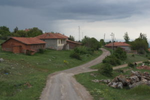 SONY DSC